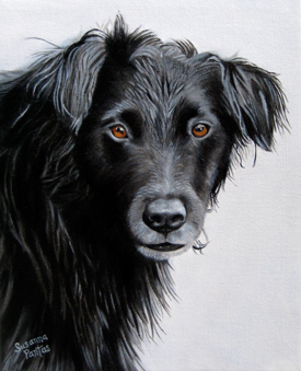 Sampson by Susanna Pantas